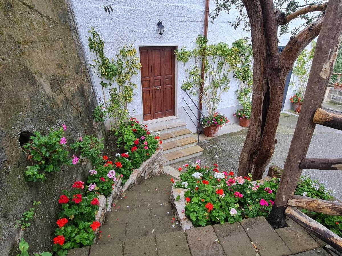 Casa Betania Da Peppe Villa Sorrento Buitenkant foto